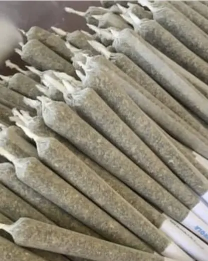 weed pre-rolls